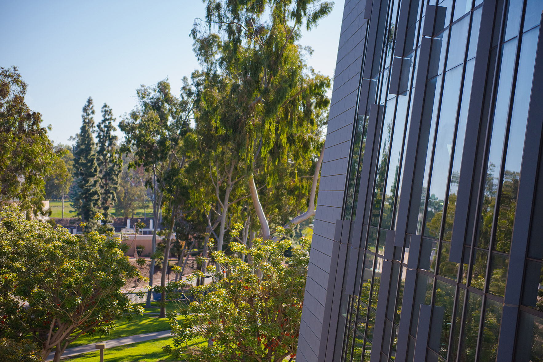 Cal State Dominguez Hills campus view with library windows